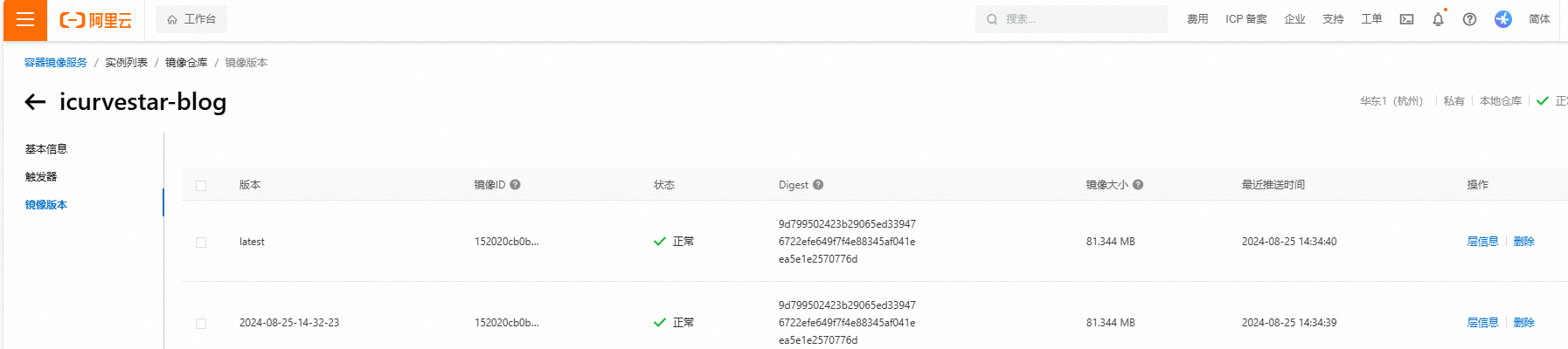 image-20240825144543010